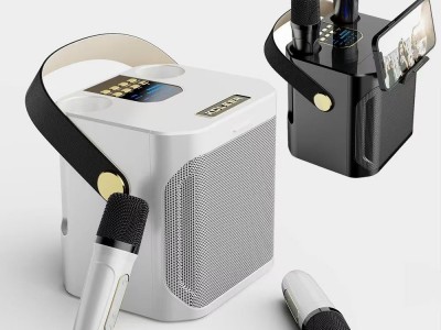 便携式 3000mAh 适用于 5.4 MP3 音乐 KTV 套装，带低音炮 USB/AUX 卡拉 OK 音箱 2 个麦克风，适合户外家庭聚会