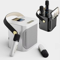 便携式 3000mAh 适用于 5.4 MP3 音乐 KTV 套装，带低音炮 USB/AUX 卡拉 OK 音箱 2 个麦克风，适合户外家庭聚会