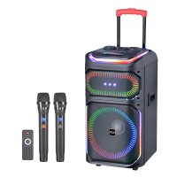 有源12英寸低音炮，带放大器模块，300瓦均方根35hz立体声低音扬声器，适用于俱乐部卡拉ok KTV，可添加徽标，TR12BA