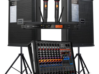 Biner D812 KTV舞台婚礼酒吧专业12英寸扬声器音响设备