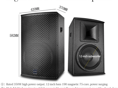 专业12英寸KTV音箱套装高端点唱机吧项目全套设备扬声器系统