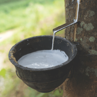 高品质天然橡胶乳胶HA 60% DRC液体乳胶橡胶原料包装在桶中天然橡胶乳胶