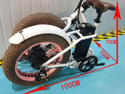 电动胖轮胎自行车可折叠铝合金车架电动自行车20英寸胖轮胎山地Ebike 500瓦汽车污垢自行车